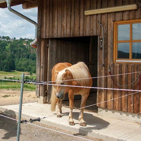 Ferienwohnung Dichtl Grafenau  Zewnętrze zdjęcie